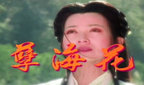 1995 Zhao Yatongs new evil Sea Flower Legend Mandarin