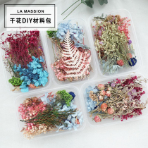 Dried flower diy material package immortal flower material handmade group fan photo frame hat candle real flower air-dried bouquet ins decoration