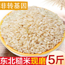 2020 New Northeast brown rice whole grains whole grains whole germ rice xuan rice low-fat satiety non-polished 5 kg