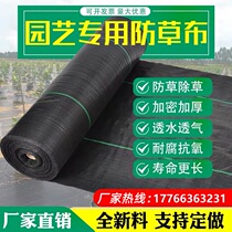 Agricultural anti-grass cloth weeding cloth Orchard fruit tree cover grass cloth anti-ageing thickened anti-grass and grass-proof gardening ground cloth