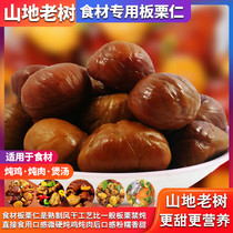 Qianxi old tree chestnut kernels Air-dried ingredients Chestnut sweet chestnut kernels No addition Small package Shelled cooked chestnut oil Chestnut kernels