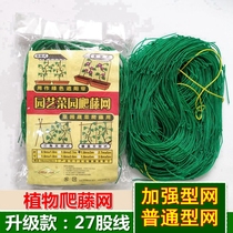 Climbing rattan net Flower green dill vine plant climbing net Hanging net Passion fruit vegetable climbing pergola gardening planting net