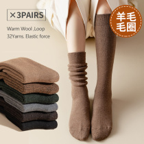 Long cylinder wool socks female winter plus suede thickened warm calf socks Japanese series retro and knee pregnant womens moon stockings