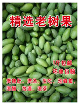  (Selected old tree fruit)Fresh olive green fruit pregnant women to poison the baby fruit 1 kg