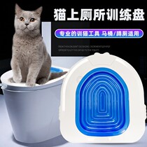 The pet teaches the cat to sit on the toilet and squat in the pit.