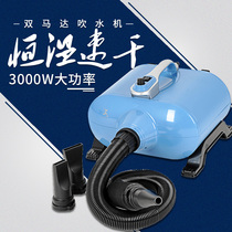 Pet blower for large dogs special dog double horse hair dryer golden hair silent high power dog bath supplies
