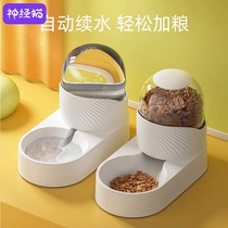 Kitty Water Dispenser Automatic Feeder Cat Drinking Water Machine Flow Dogs Feeding Water Drinkers Do Nt Plug in Pet Supplies