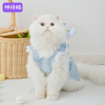 Lotus leaf side princess dresses dress kitty clothes summer thin kitten puppets Puppet cat blue cat English short pet anti-fall hair