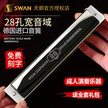 German imported sound Reed Swan 28-hole polyphonic harmonica 24-hole accent C- tone advanced adult playing beginner instrument