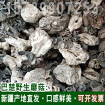 Xinhua Bachu mushroom 100g Xinjiang Bachu wild mushroom dry edible bacteria Huyanglin crumple stomach bacteria