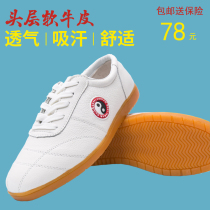 tai ji xie soft cowhide tpr lian gong xie autumn wu shu xie middle-aged and elderly men and women paragraph leather gong fu xie