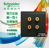 Schneider switch socket panel Fengshang freehand four-head audio four-bit audio