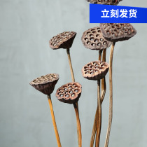  (Real rod showerhead)Real rod with lotus seeds dried showerhead original ecological landing Real showerhead big showerhead shooting props