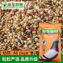 The Lord Dragon Dove Grain Young Pigeon A6 Pigeon Pet Racing Pigeon Bird Food Young Pigeon Feed Factory Store Jiang Zhejiang 50 Jin