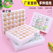EPE egg tray 20 30 50 pieces of preserved eggs Salted duck eggs express shockproof foam packaging gift box box custom