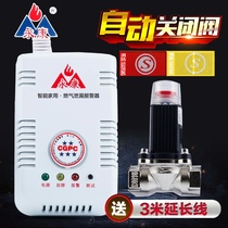 Household gas alarm shut-off valve solenoid valve Natural Gas Gas pipeline gas leakage automatic shut-off safety valve