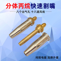 Cutting nozzle 100 type oxygen acetylene liquefied gas gas propane No 2 stainless steel 30 split plum blossom type gas cutting nozzle