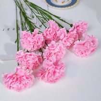 Mothers Day Cake Decoration Plugin Simulation CarnationMother Mother Mother Goddess Birthday Cake Bouquet Flower Dress