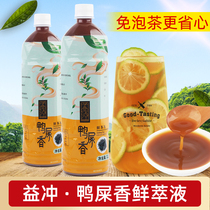 Duck shit lemon tea Tea soup Phoenix single malt tea fresh extract Milk tea shop special tea concentrated juice drink raw materials 1L