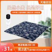 Electric velvet cushion warm heating chair cushion office winter heating artifact heating mat Wormwood electric blanket