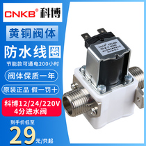 Cobo water inlet solenoid valve 24V220V normally closed type 4 minutes 12v water heater water heater water valve stepping type accessories