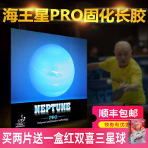  German craft Neptune Professional edition long glue single rubber Medium particle competition type non-cured long glue rubber