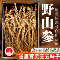 Ginseng Changbai Mountain Wild Ginseng Forest Ginseng Wild Ginseng Northeast Ginseng Liquor Dry Goods Changbai Mountain Gift Box