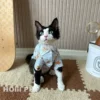 Товары от HOiii PET