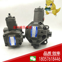 Taiwan YUKEN YUKEN pump SVPF-12 20 30 40-70 55 35 20-20 vane pump