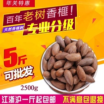 Torreya tycoon 2020 100 grams per bag net content Shengzhou torreya nut snacks specialty New Year bags