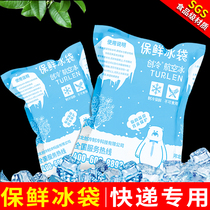 Chuangleng Technology Aviation ice bag Food seafood fruit preservation express refrigeration Disposable cold compress cooling ice bag