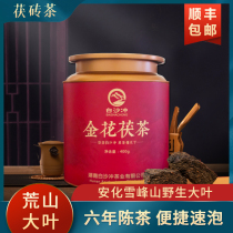 Barren Mountain Big Leaf Series Bulk Golden Flower Poria Brick Tea Authentic Black Tea Hunan Anhua 400g Lian Chan for Six Years Chen