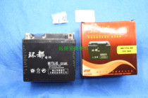 bo sole f 1 f 2 F 3 F 4 F 5 Cheetah saker falcon Ti Tan Hunter Hunt 250 off-road motorcycle battery battery