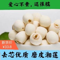 Farmers self-planted coreless lotus seeds dry goods grinding skin to core white lotus seeds high quality powder waxy inch three Lotus Xianglian 500g