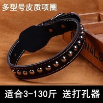 Bull Leather Neckline Alaska Haschichsa Moyer Puppies Adult Dog Side Shepherd Labrador Dog Neck