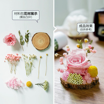 Eternal life flower gift diy dried flower material package Micro landscape decoration decoration Group building creative handmade gift