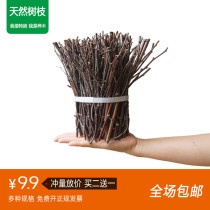Small branches dry branches dead branches handmade DIY forest creative fruit tree landscaping branches logs small tree branches natural