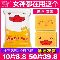 Hemerocallis warm paste warm baby girl with Palace cold warm body conditioning spontaneous hot application Post menstrual period aunt Palace warm treasure paste