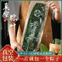 Fresh rice dumpling leaves large zongcotyledons wrapped in rice dumplings leaves New leaves Reed leaves New leaves Brown leaves Reed leaves New leaves Brown leaves