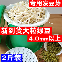 2 jin of new goods large-grain bean sprouts special mung beans Northeast farmers self-growing mung bean sprouts raw mung bean sprouts
