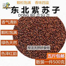 Little winter Parrot bird eats SAC seed perilla seed Bird grain no impurities quality assurance large quantity