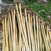 Ote Haigui Zhu Nanxiao Material Xiao Dry Material Shou Eight Musical Instrument Wet Material Eight Hole Five Years Old Gui Bamboo Material