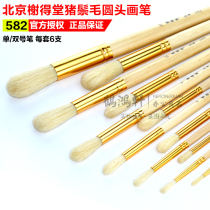 Xide Tang 582 oil painting pen set Bristle thick bristle round head long rod bristle oil painting pen gouache art student Acrylic hand painting brush set Adult art beginner