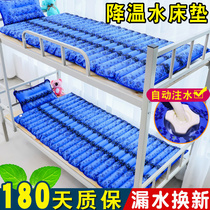 Water mattress ice mat water mat single student dormitory water mat double water bed household summer cooling artifact ice mat