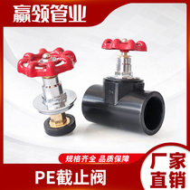 PE globe valve water pipe gate valve hot melt pipe switch water valve 20 32 40 50 63 4 minutes 6 minutes 2 inch accessories