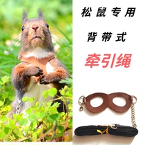 Demon King Red-bellied Snow Huangshan Squirrel Special Traction Rope Backband Vest-type Anti-bite Design Traction Chain