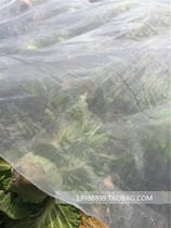 Factory direct insect net mosquito net household gauze mesh strong gauze mesh durable nylon mesh