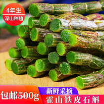 Special price Fresh Hoshan Dendrobium Candidendrobium 500g Dendrobium Fresh Strips Deep Mountain Cultivation Special Class Maple Flower Tea Fry Dry Powder