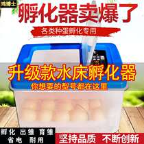 (Upgrade) Smart incubator Automatic waterbed household small incubator chicken duck goose pigeon incubator