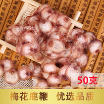 Sika Deer deer whip dry whole root fresh pruned slices Jilin male durable tonic ginseng deer whip